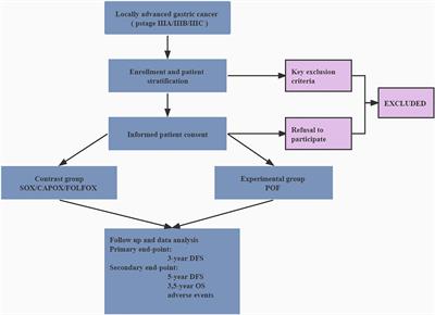 POF (paclitaxel/oxaliplatin/5-fluorouracil/leucovorin) vs. SOX/CAPOX/FOLFOX as a postoperative adjuvant chemotherapy for curatively resected stage III gastric cancer: Study protocol for a randomized controlled trial, FNF-014 trial